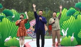 淮安导游爆料视频最新消息,揭秘古城背后的历史故事与最新发现